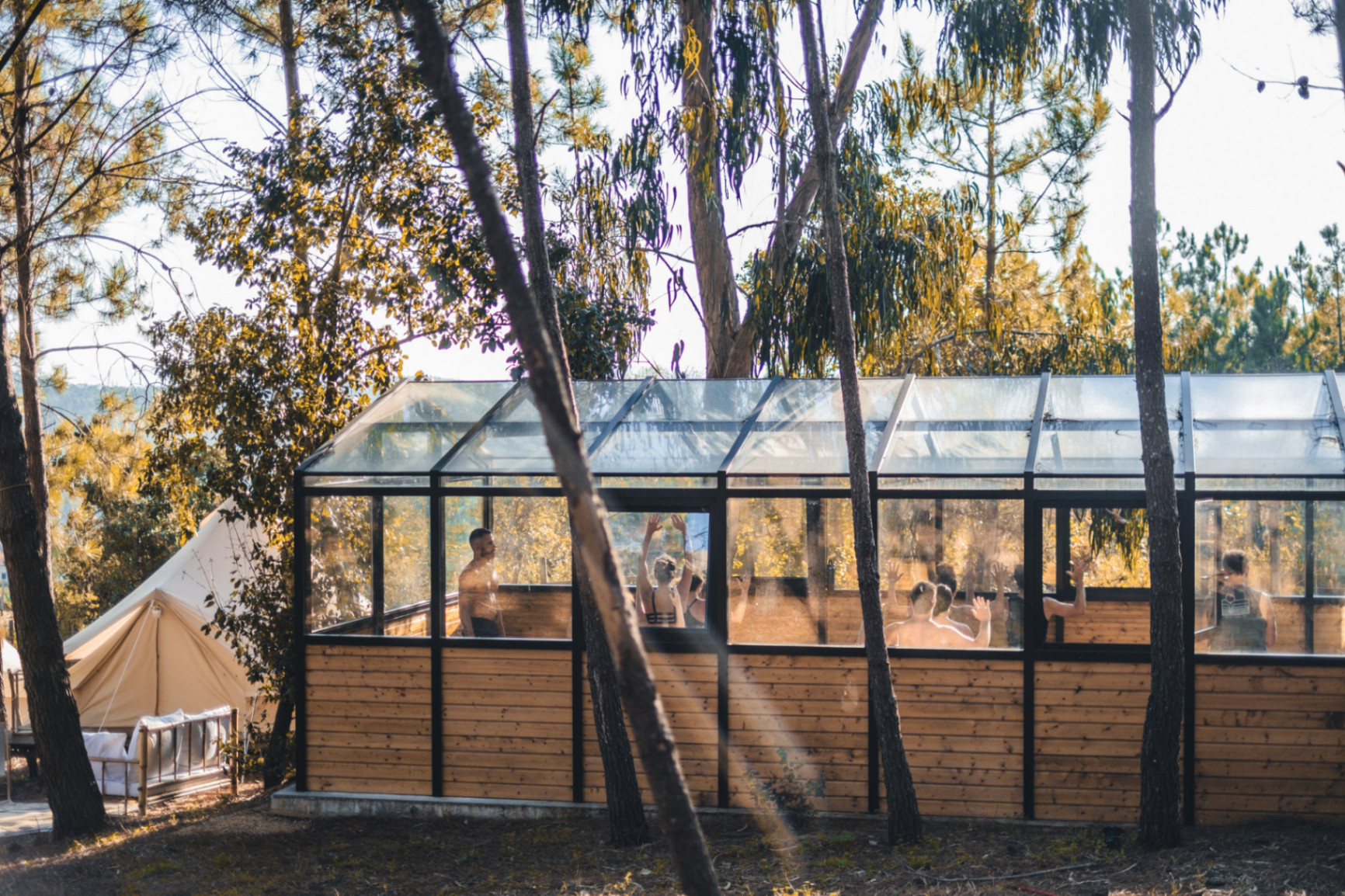 ZEN FOREST PORTUGAL photo 1