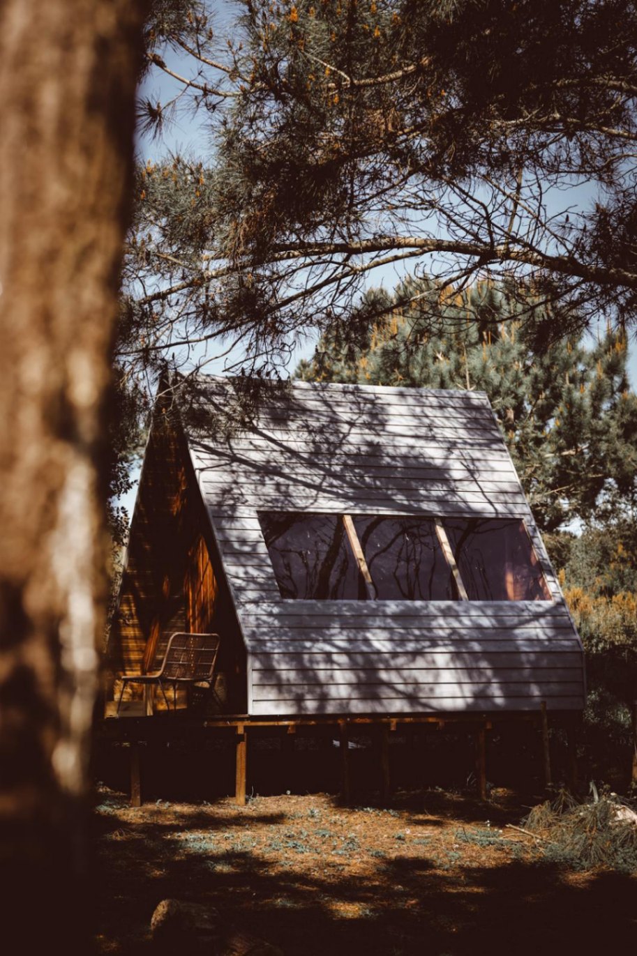 ZEN FOREST PORTUGAL photo 9
