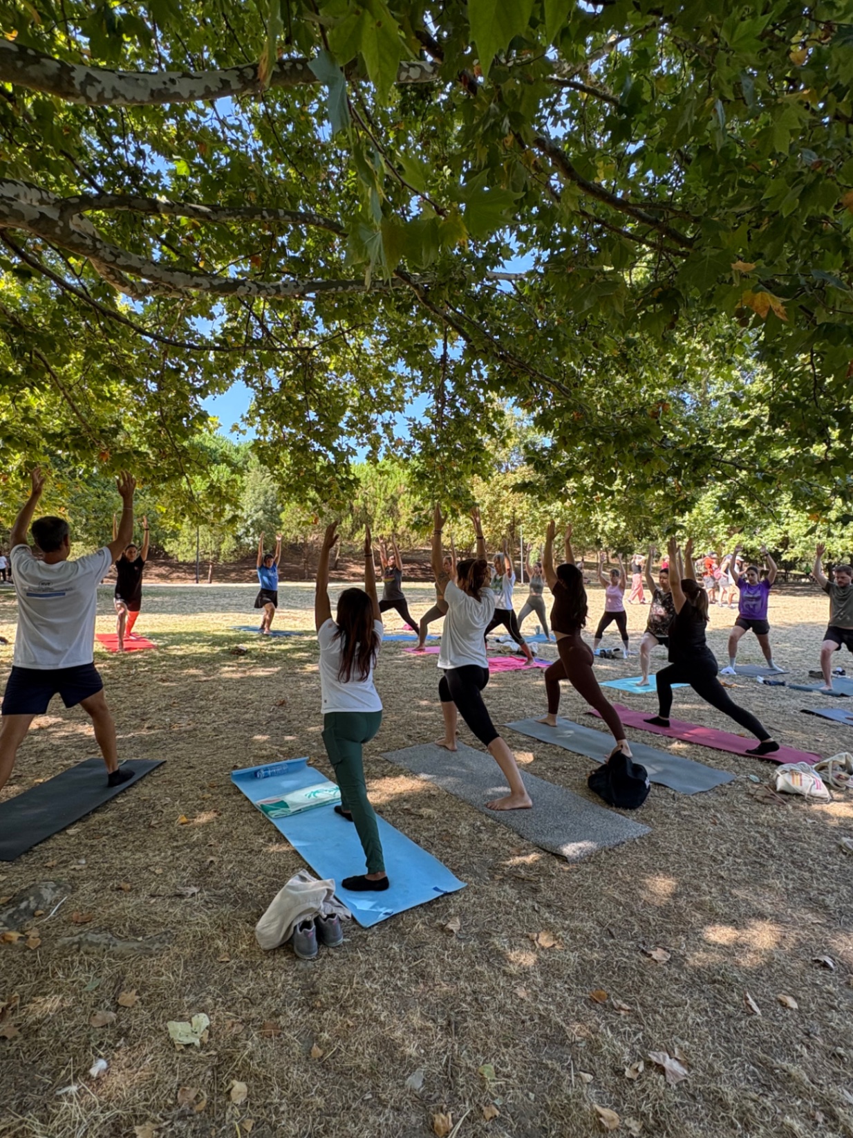 Shala Academia de Yoga e Pilates photo 1