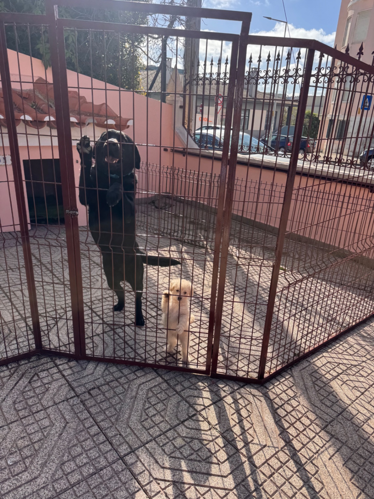 Estúdio Metraton photo 1