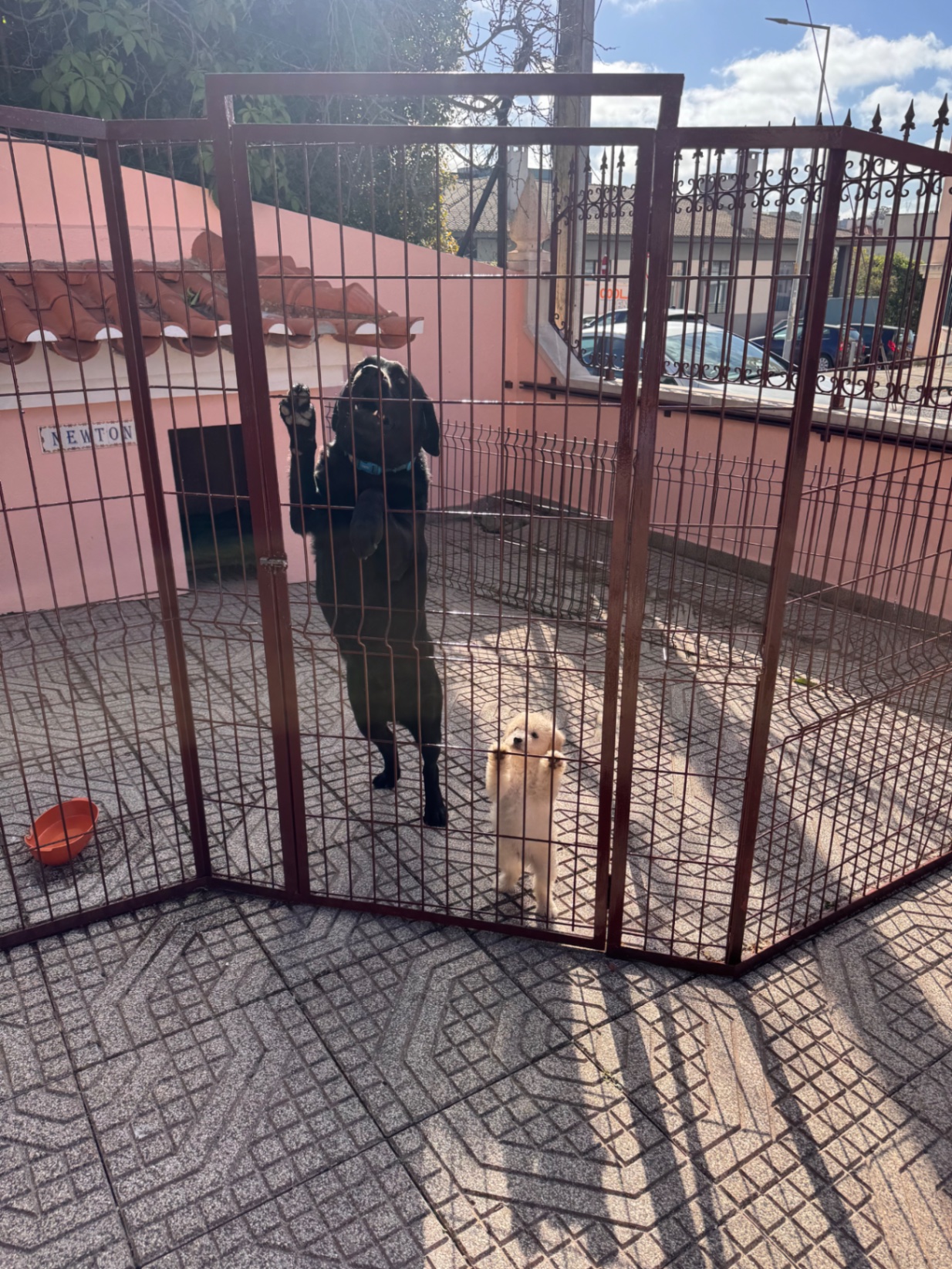 Estúdio Metraton photo 2