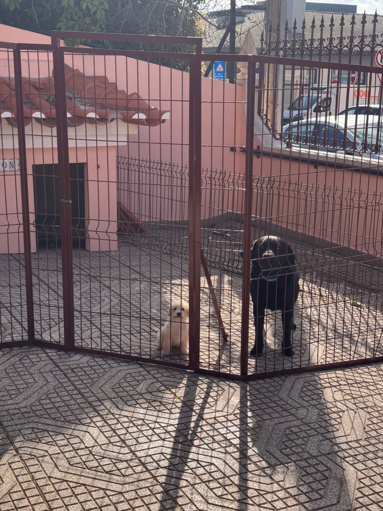 Estúdio Metraton photo 3