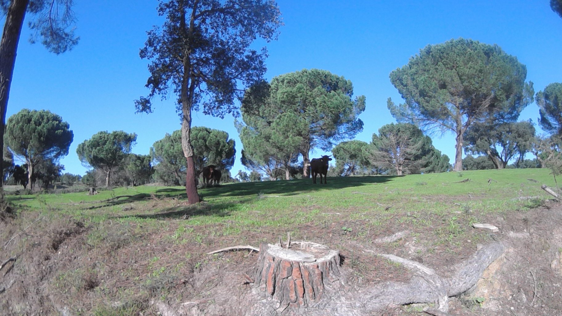 Estúdio Sol photo 1