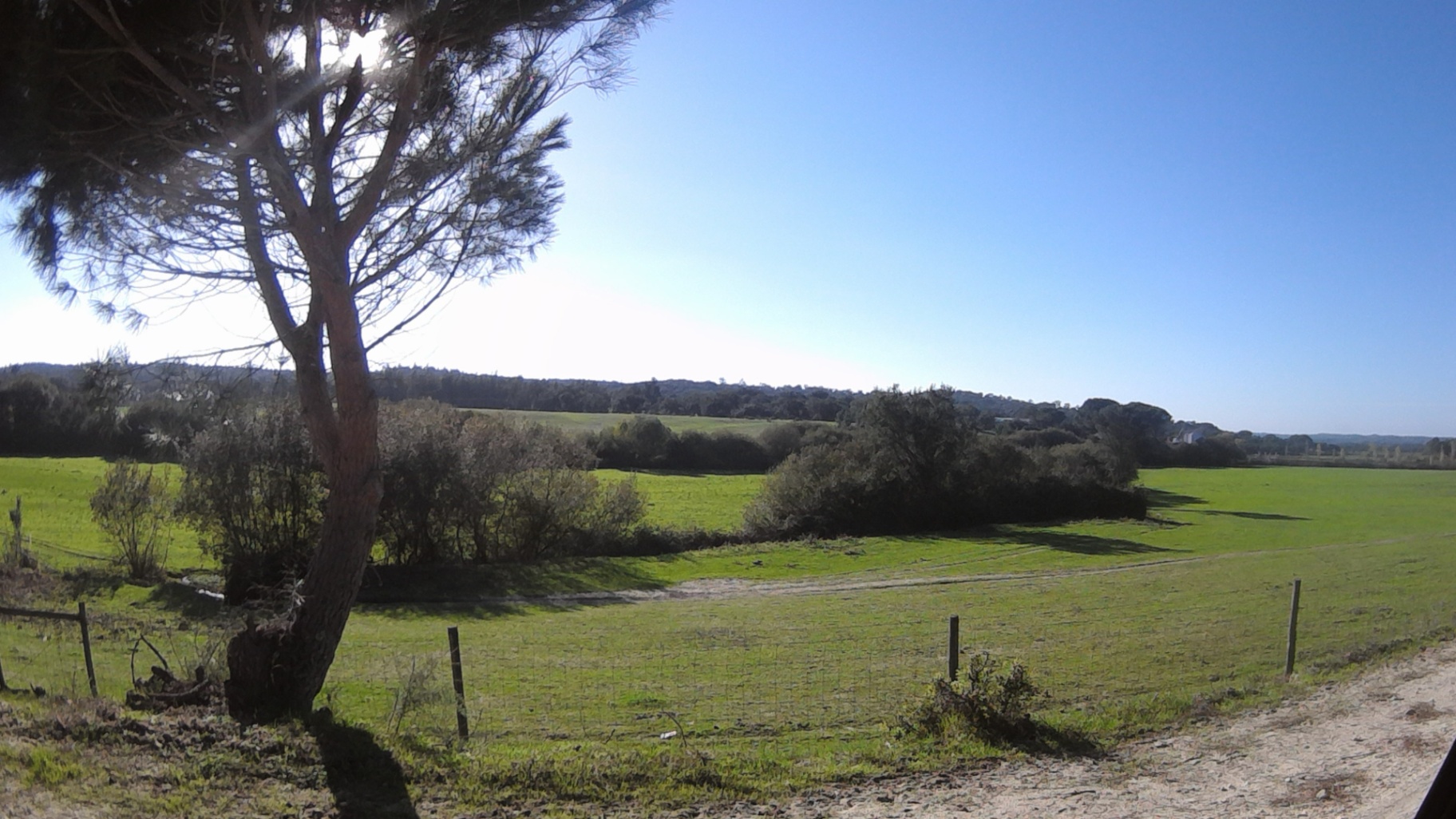 Estúdio Sol photo 2