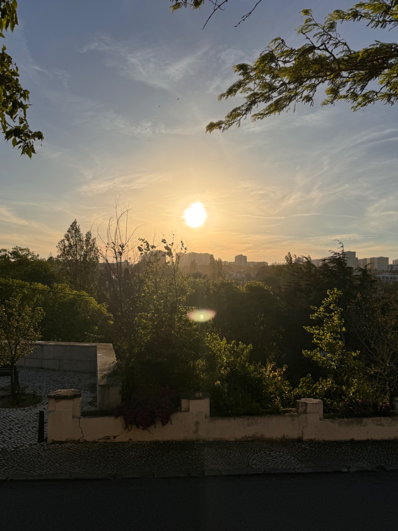 Cold Ice Space photo 7