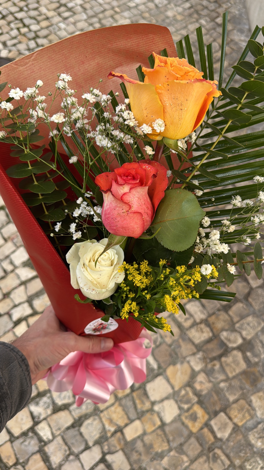 Festival Psicool photo 2