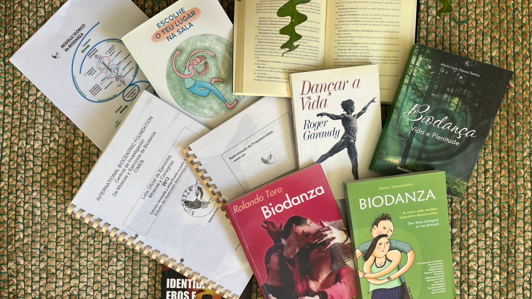 Biodanza | Grupo Regular | Gaia | Afurada