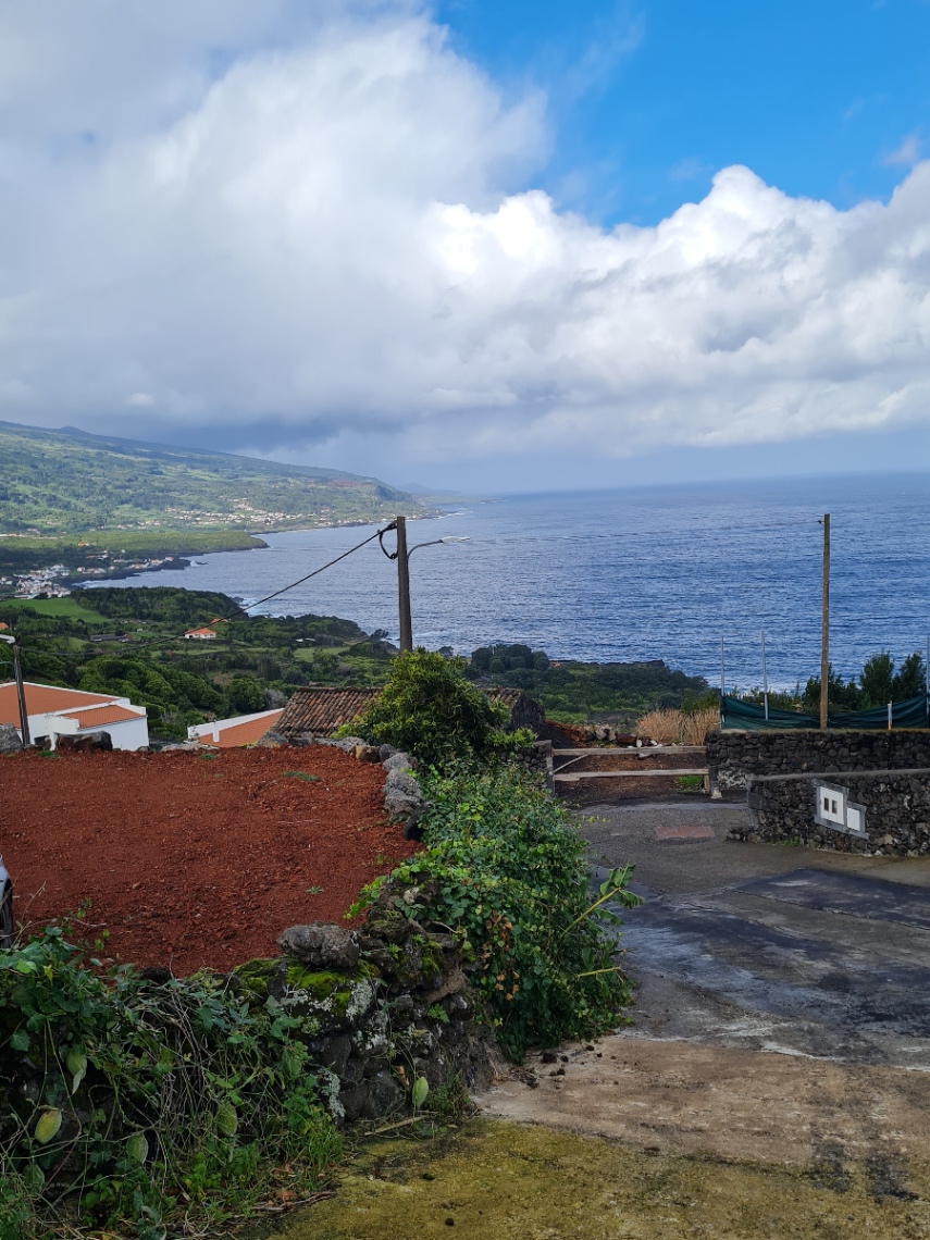 Bromelia Wellness School photo 2