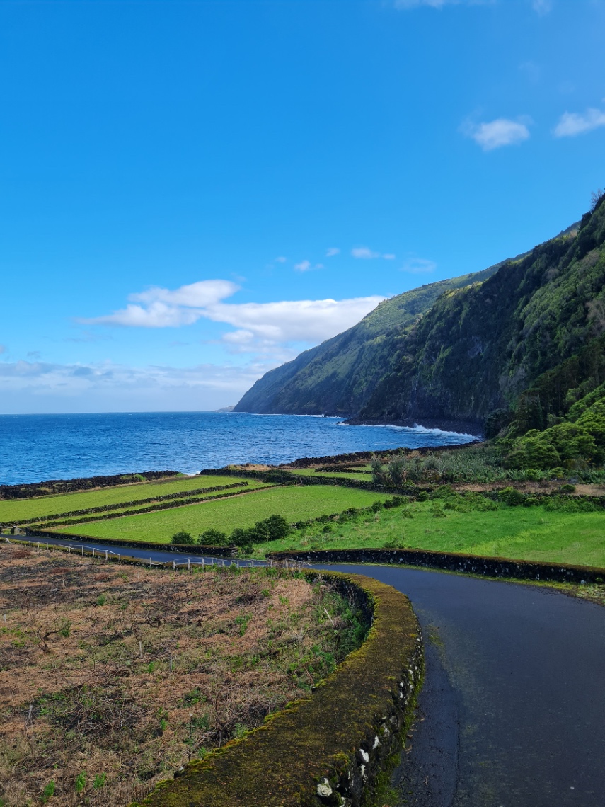 Bromelia Wellness School photo 3