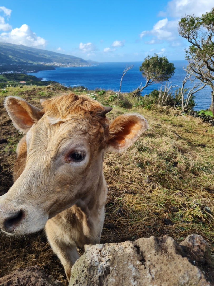 Bromelia Wellness School photo 4