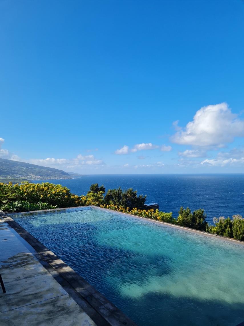 Bromelia Wellness School photo 5