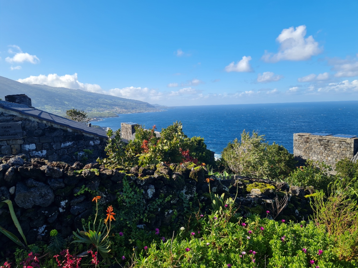 Bromelia Wellness School photo 6