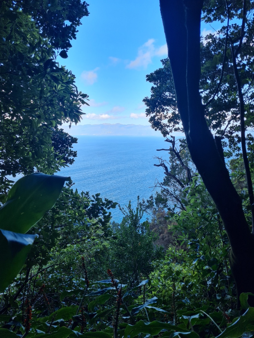 Bromelia Wellness School photo 7