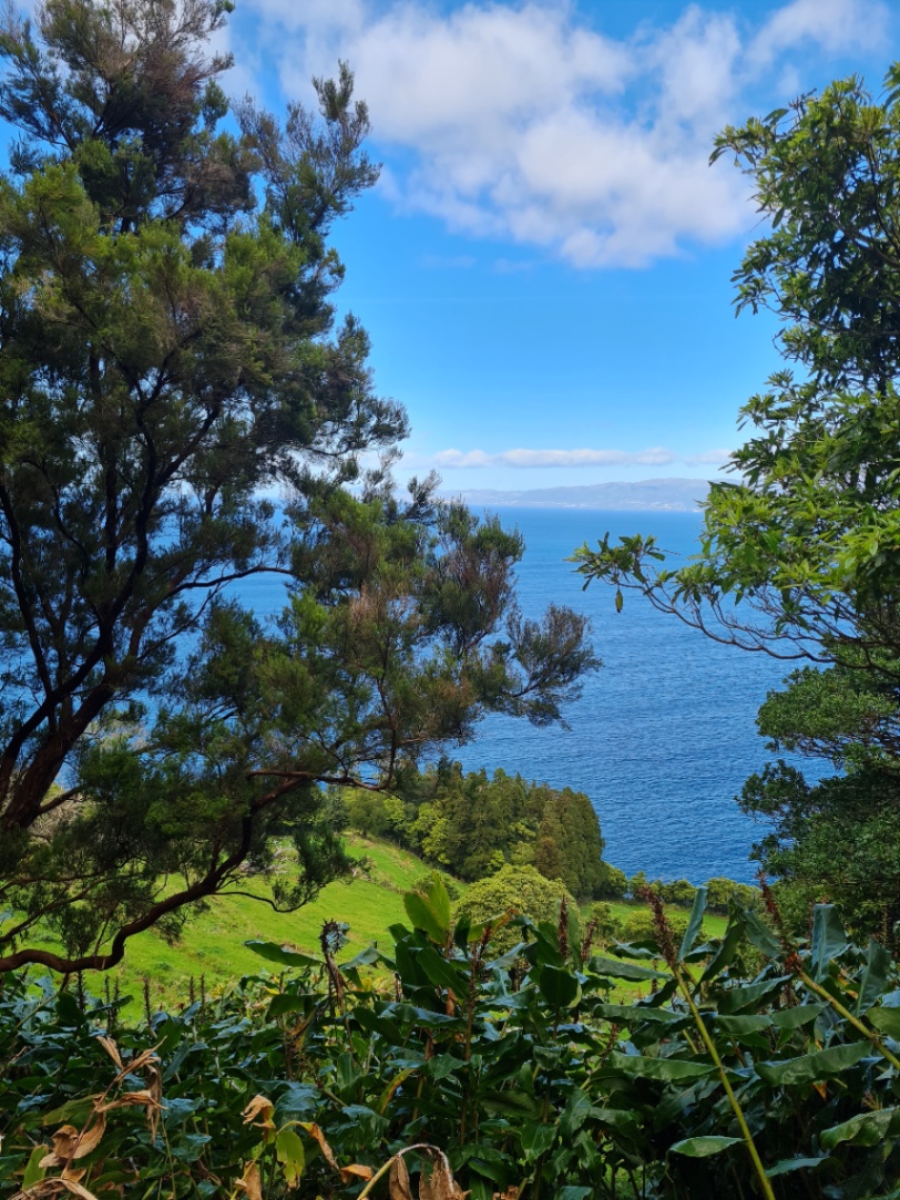 Bromelia Wellness School photo 8